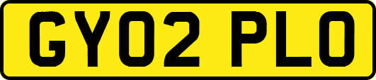 GY02PLO