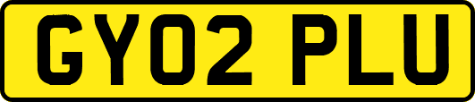 GY02PLU