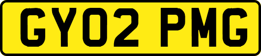 GY02PMG
