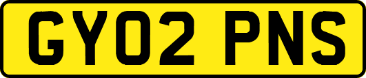 GY02PNS