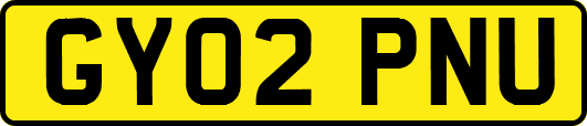 GY02PNU