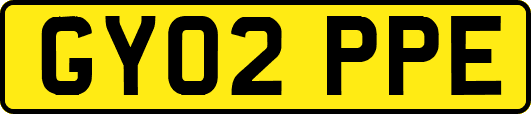 GY02PPE