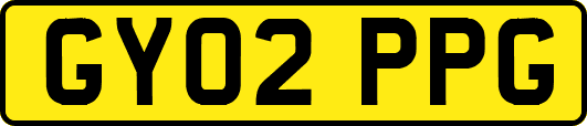 GY02PPG