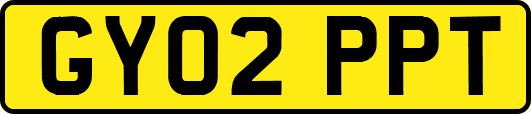 GY02PPT