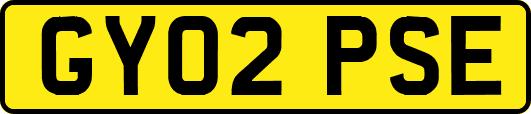 GY02PSE