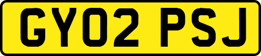 GY02PSJ