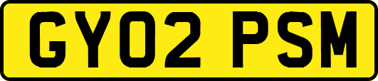 GY02PSM