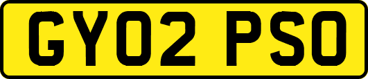 GY02PSO