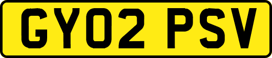 GY02PSV