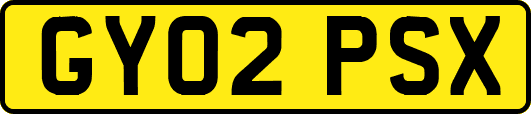 GY02PSX