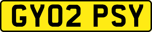 GY02PSY