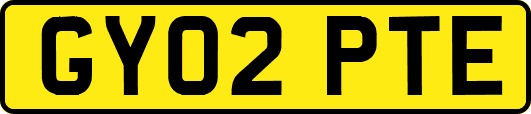 GY02PTE