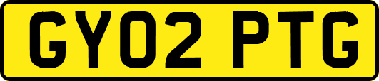 GY02PTG