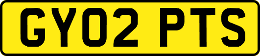 GY02PTS