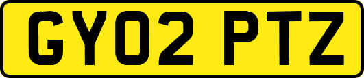GY02PTZ