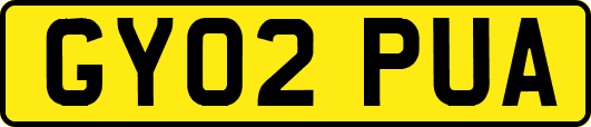 GY02PUA