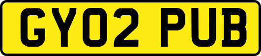 GY02PUB