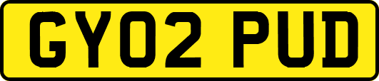 GY02PUD