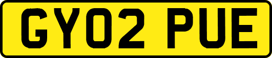 GY02PUE