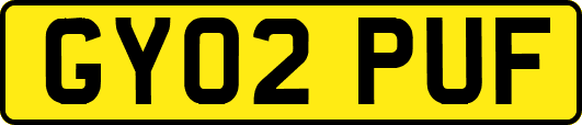 GY02PUF