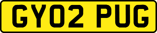 GY02PUG