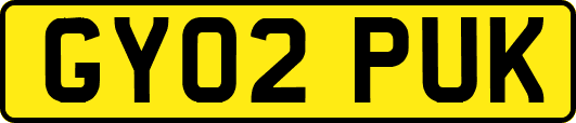 GY02PUK