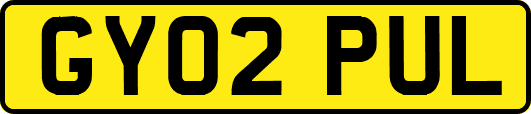 GY02PUL