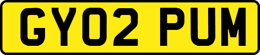 GY02PUM
