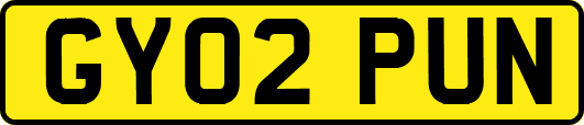 GY02PUN