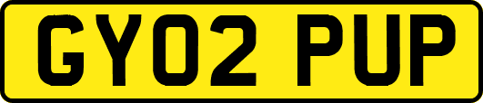 GY02PUP