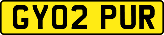 GY02PUR