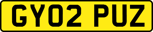 GY02PUZ