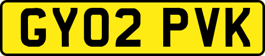 GY02PVK