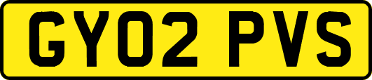 GY02PVS