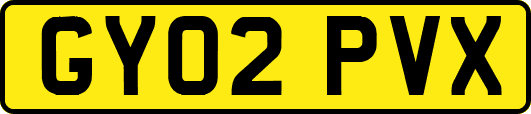 GY02PVX