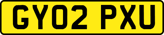 GY02PXU