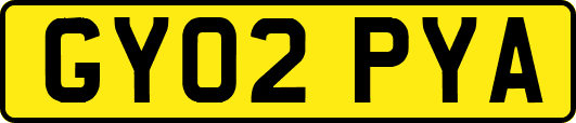 GY02PYA