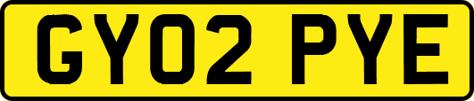 GY02PYE