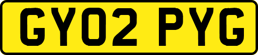 GY02PYG