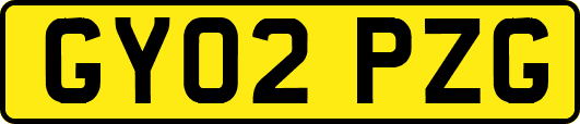 GY02PZG