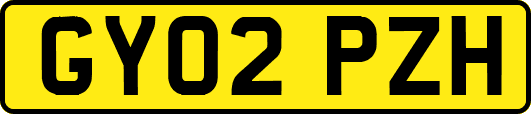 GY02PZH