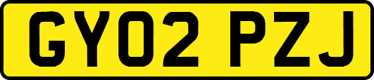 GY02PZJ