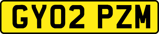 GY02PZM