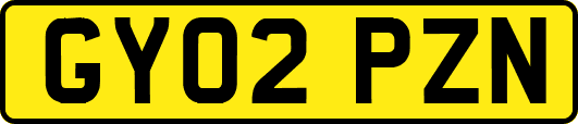 GY02PZN