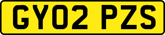 GY02PZS