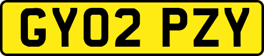 GY02PZY
