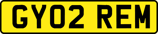 GY02REM