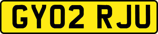 GY02RJU