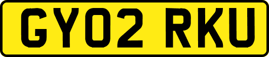 GY02RKU