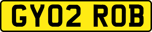 GY02ROB